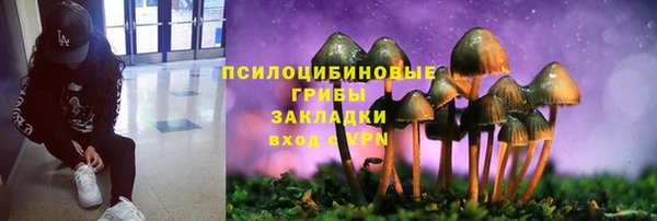 mdpv Тавда