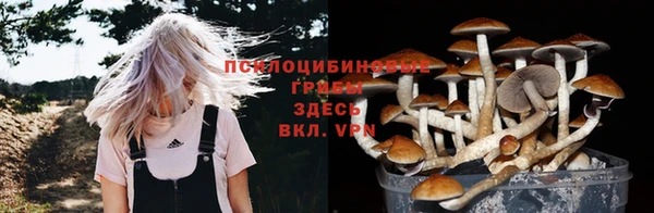 трава Богородицк