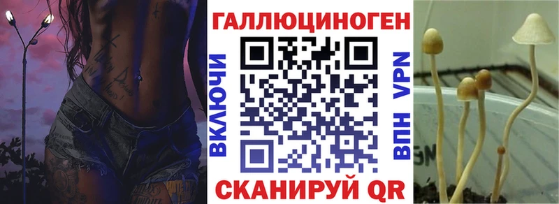 Псилоцибиновые грибы Cubensis Рыбинск